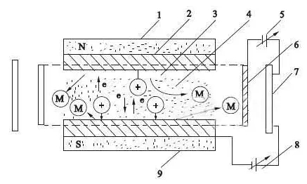 1647953666161610.jpg 3.jpg