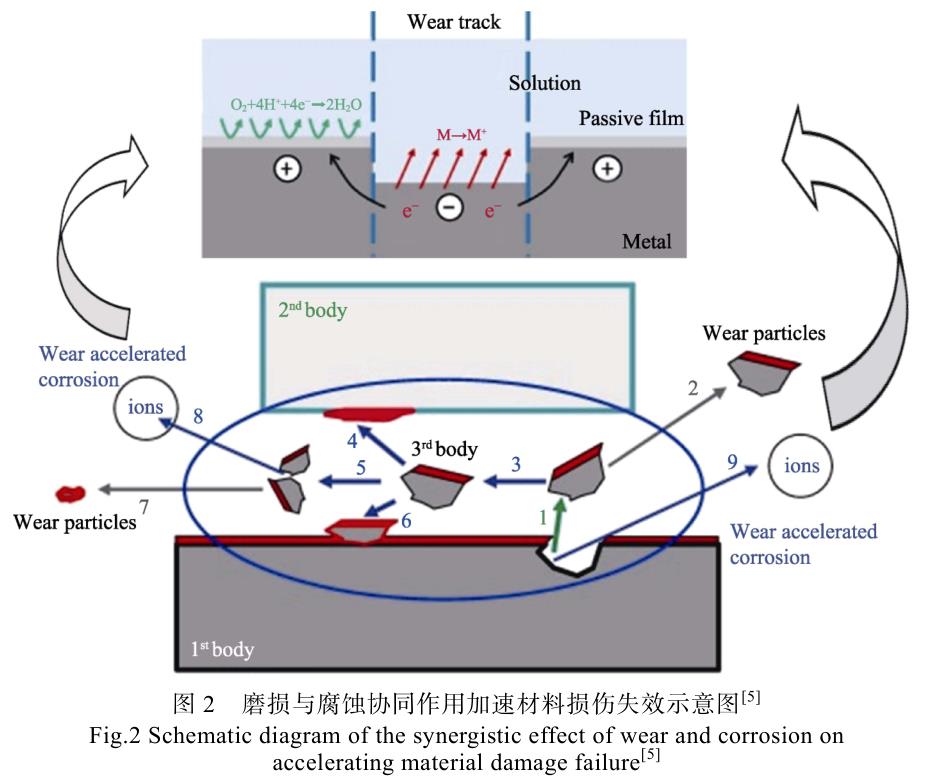 1692885033154283.jpg t2.jpg