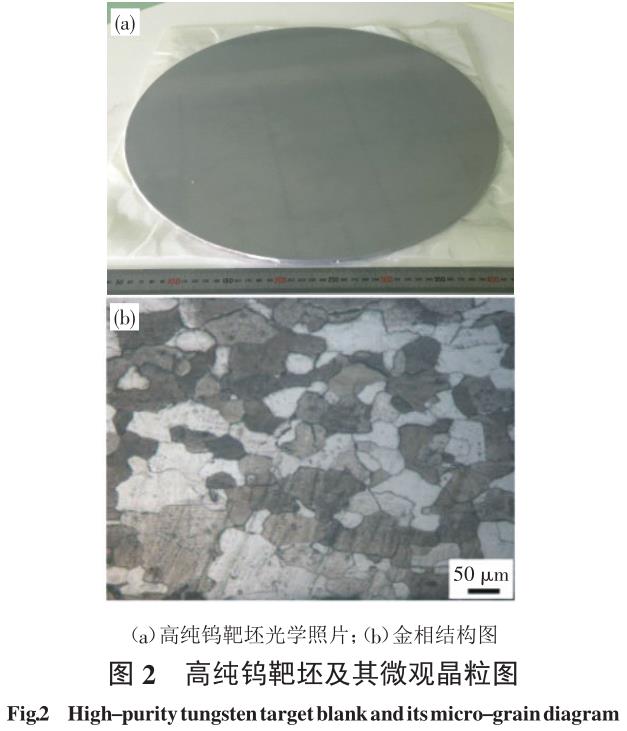 1701228188304245.jpg t2.jpg