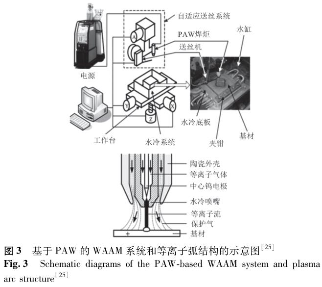 1703124980620897.jpg t3.jpg