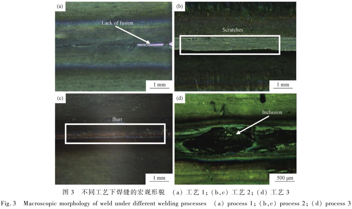 1706182195962520.jpg t3.jpg