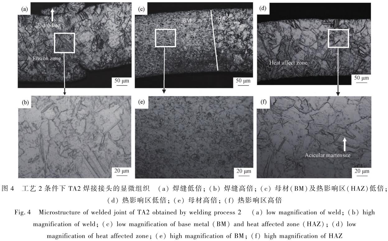 1706182207146712.jpg t4.jpg