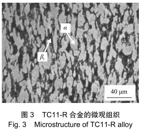 1706222802943250.jpg t3.jpg