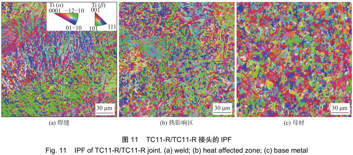 1706223009512771.jpg t11.jpg