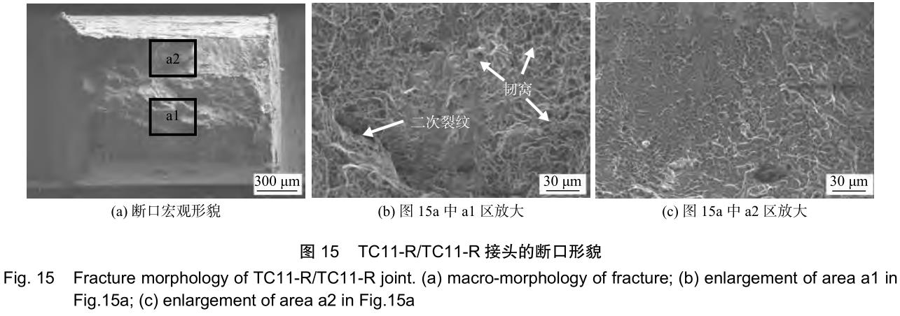 1706223047989165.jpg t15.jpg