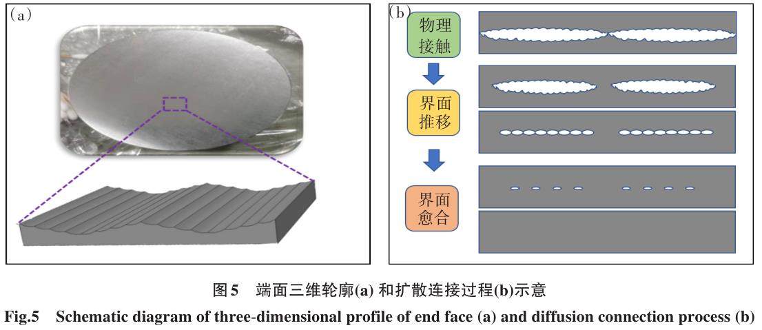 1700449046348092.jpg t5.jpg