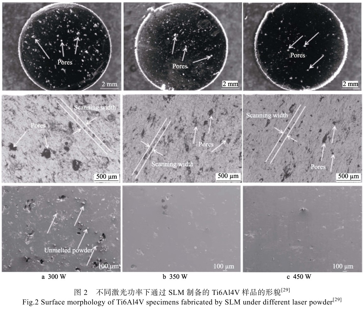 1715136889533082.jpg t2.jpg