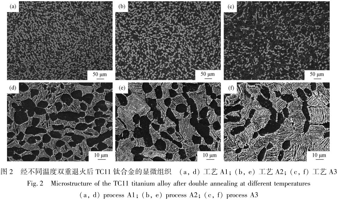 1708354351467493.jpg t2.jpg