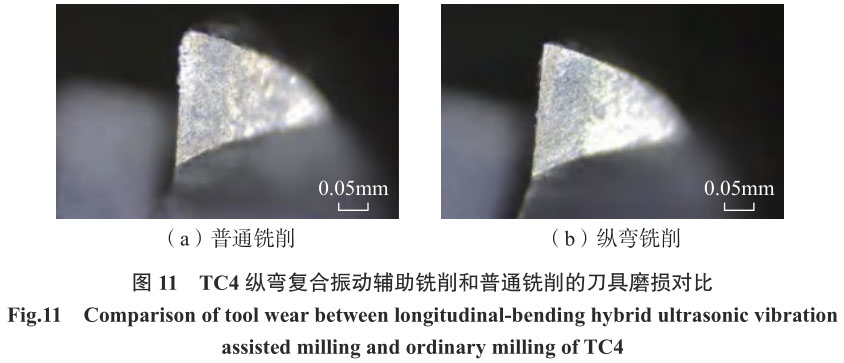 1721399629400368.jpg t11.jpg