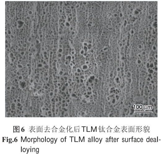 1721659035811298.jpg t6.jpg