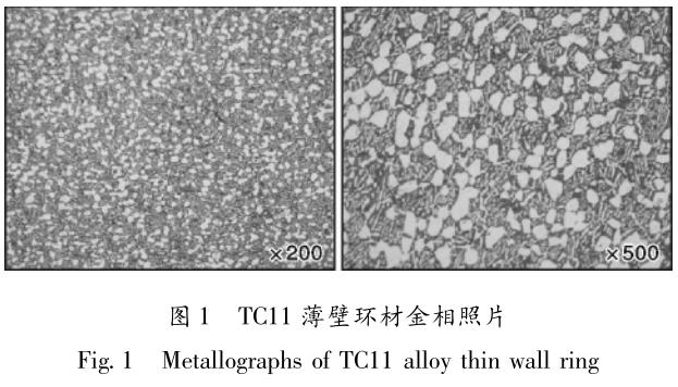 1699873228183725.jpg t1.jpg