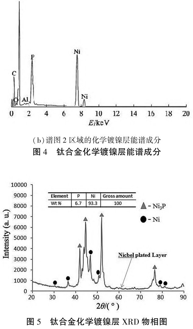 1727922520451757.jpg t5.jpg