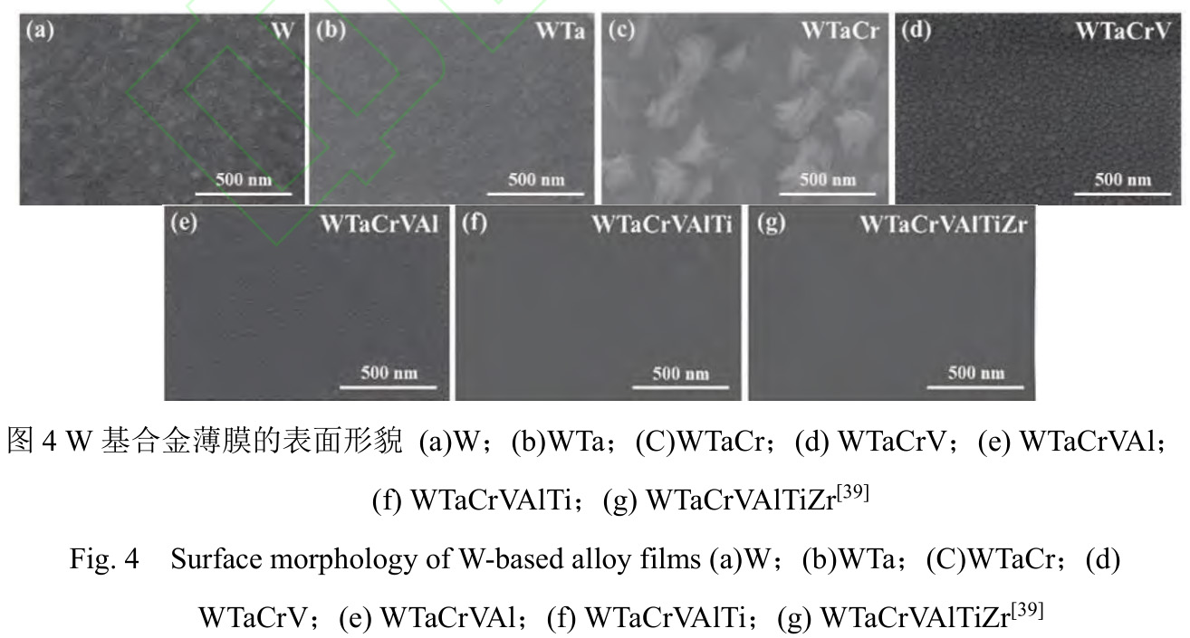 1728214123774741.jpg t4.jpg