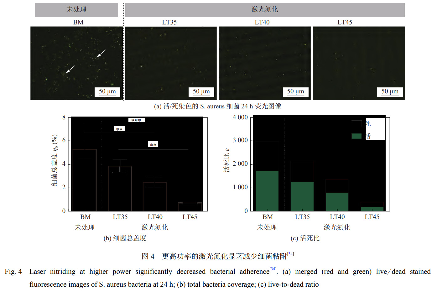 1739288357625726.jpg 4.jpg